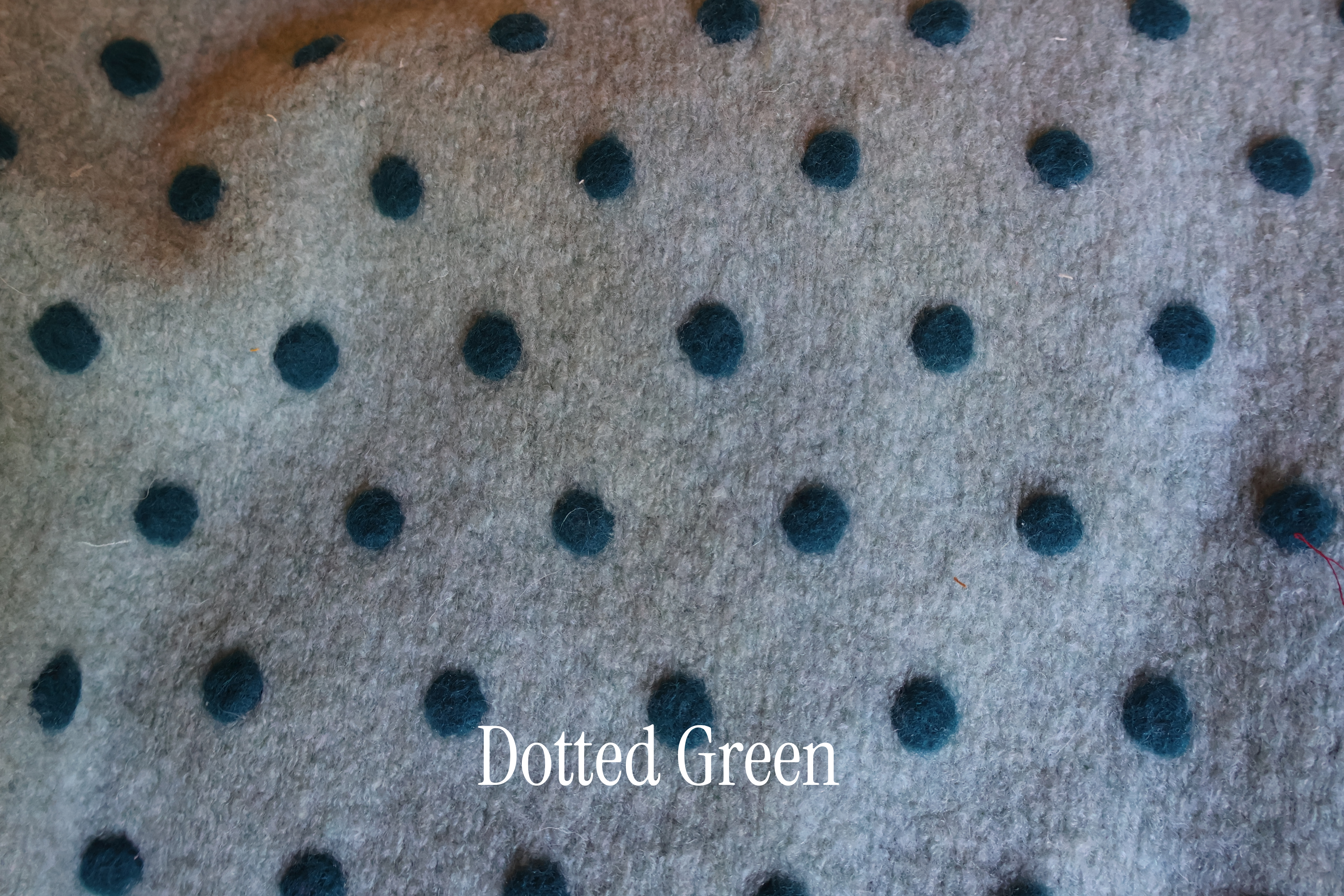 Dotted Vest